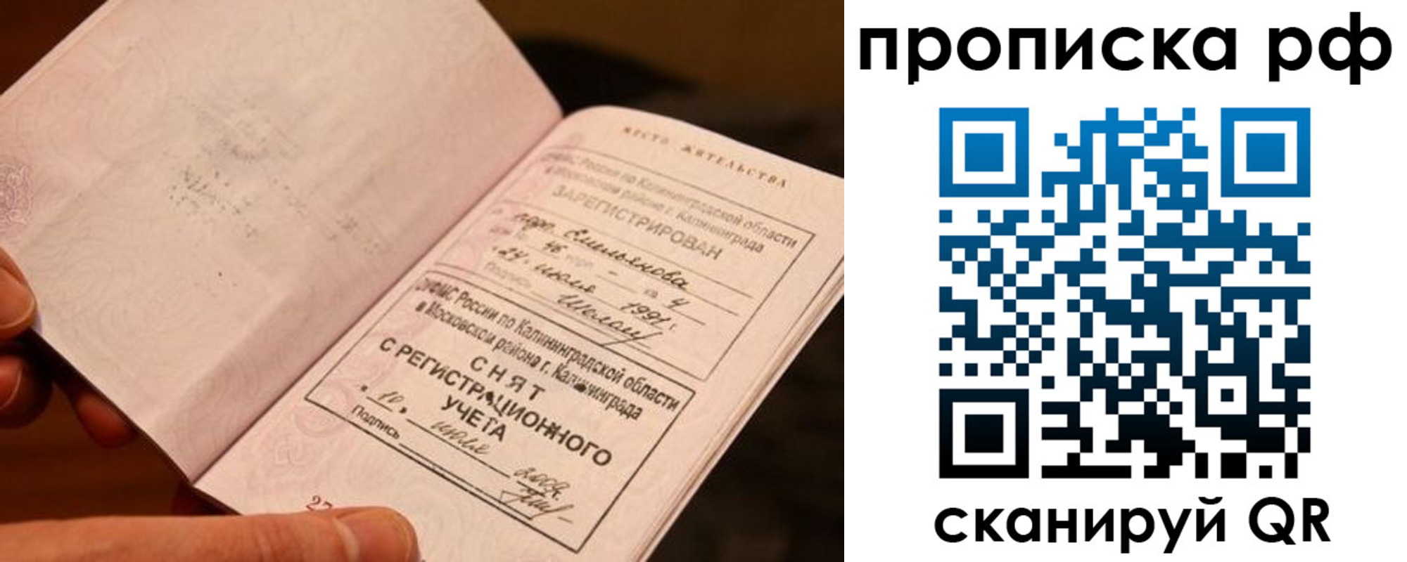 прописка гарантия в Шатуре